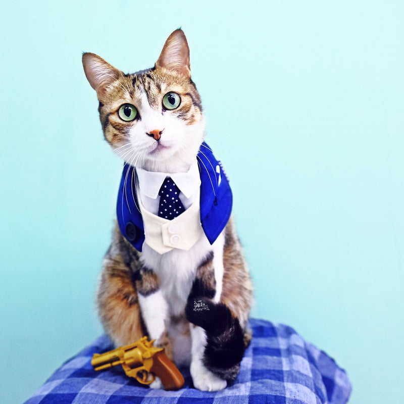 MOMOJI Queensway | Pet Bib