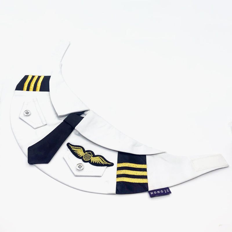 MOMOJI Coolmore | Pet Bib