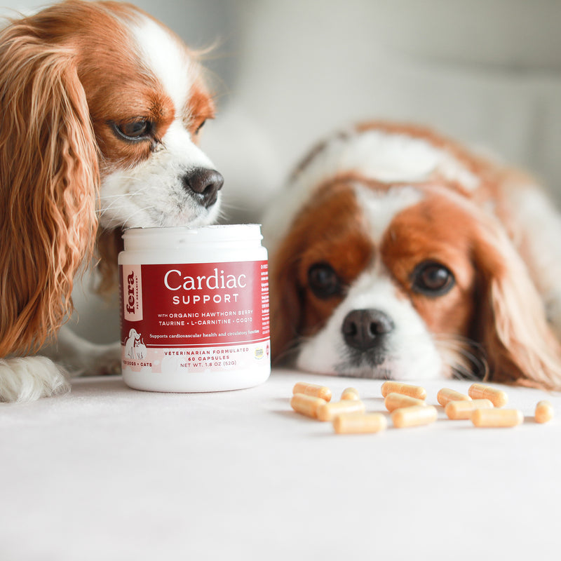 Fera Pets Cardiac Support Capsule 60s