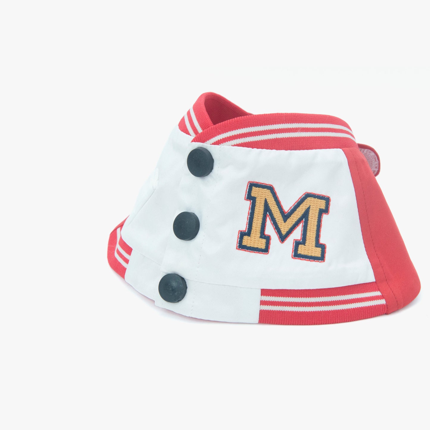 MOMOJI Basepaws | Pet Bib