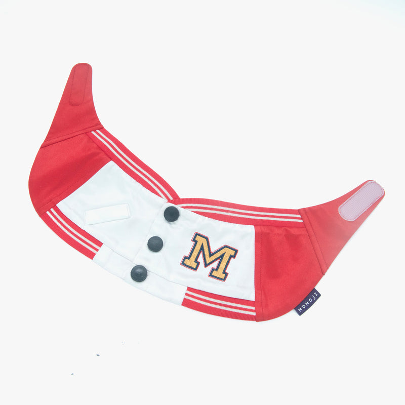 MOMOJI Basepaws | Pet Bib