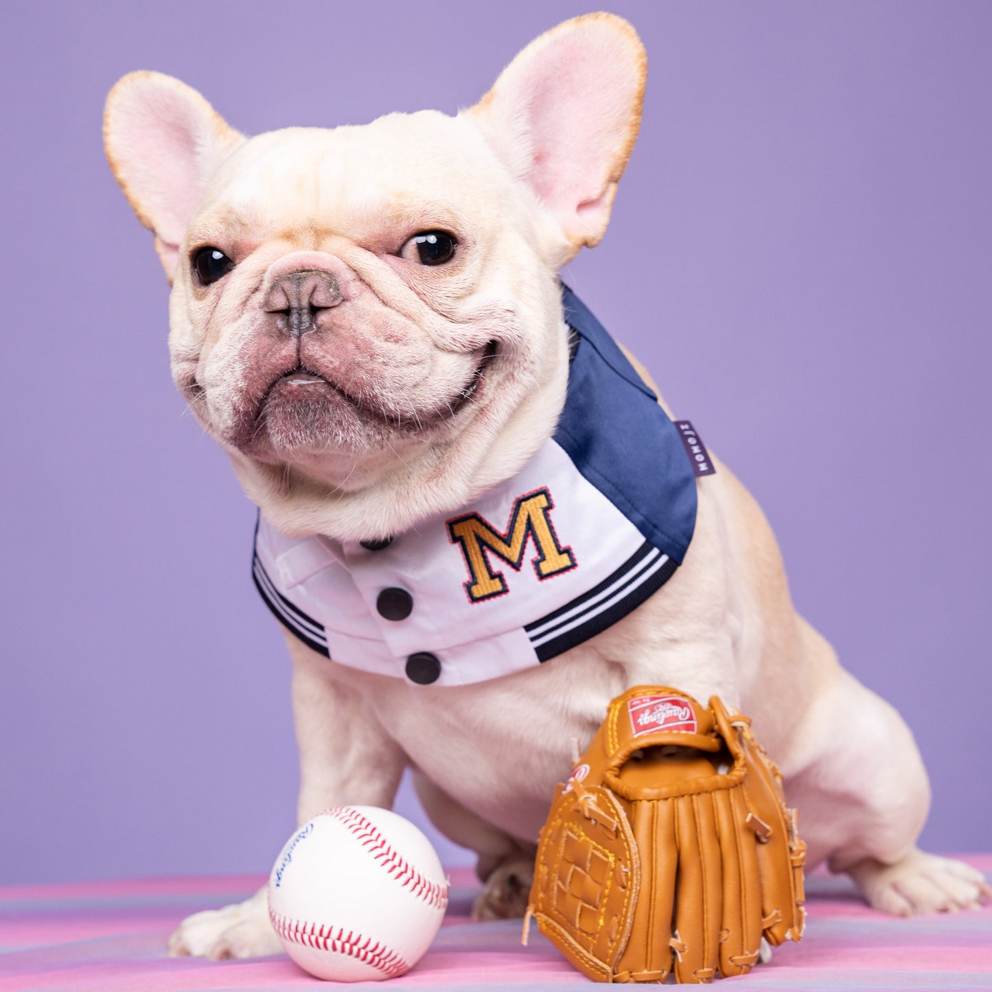 MOMOJI Basepaws | Pet Bib