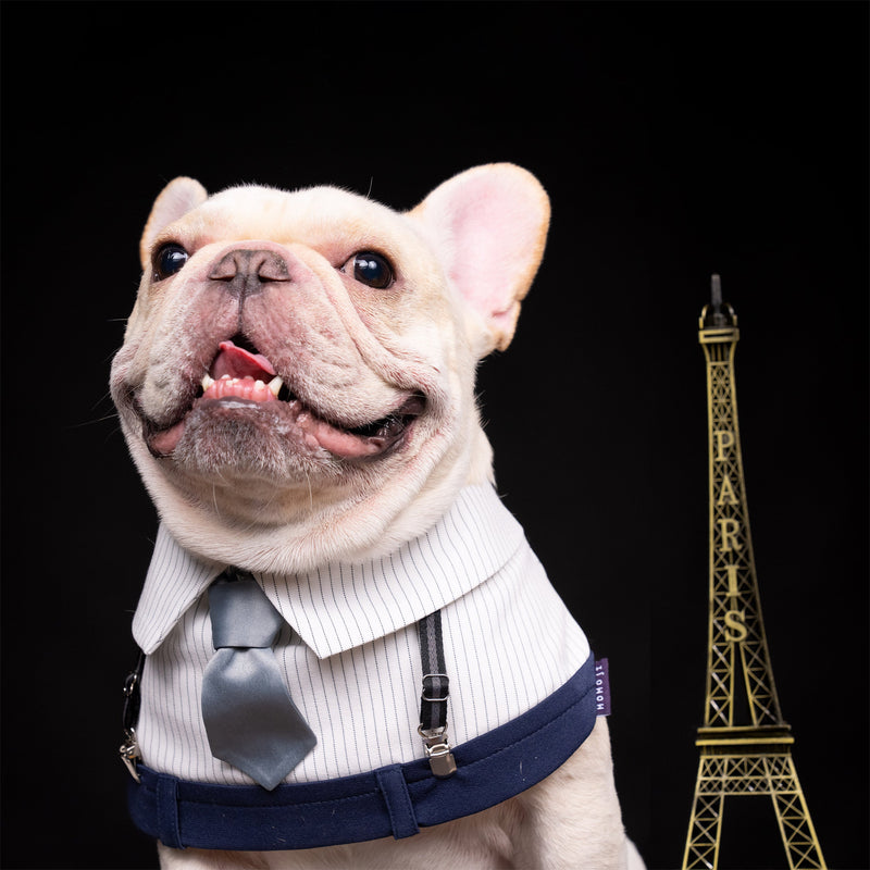 MOMOJI George | Pet Bib