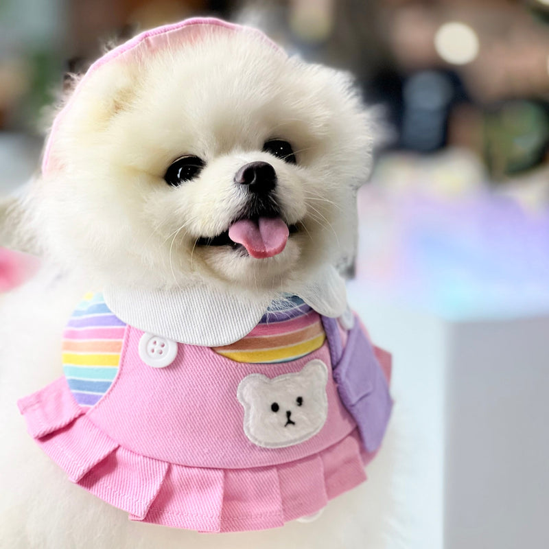 MOMOJI Bear Girls | Pet Bib