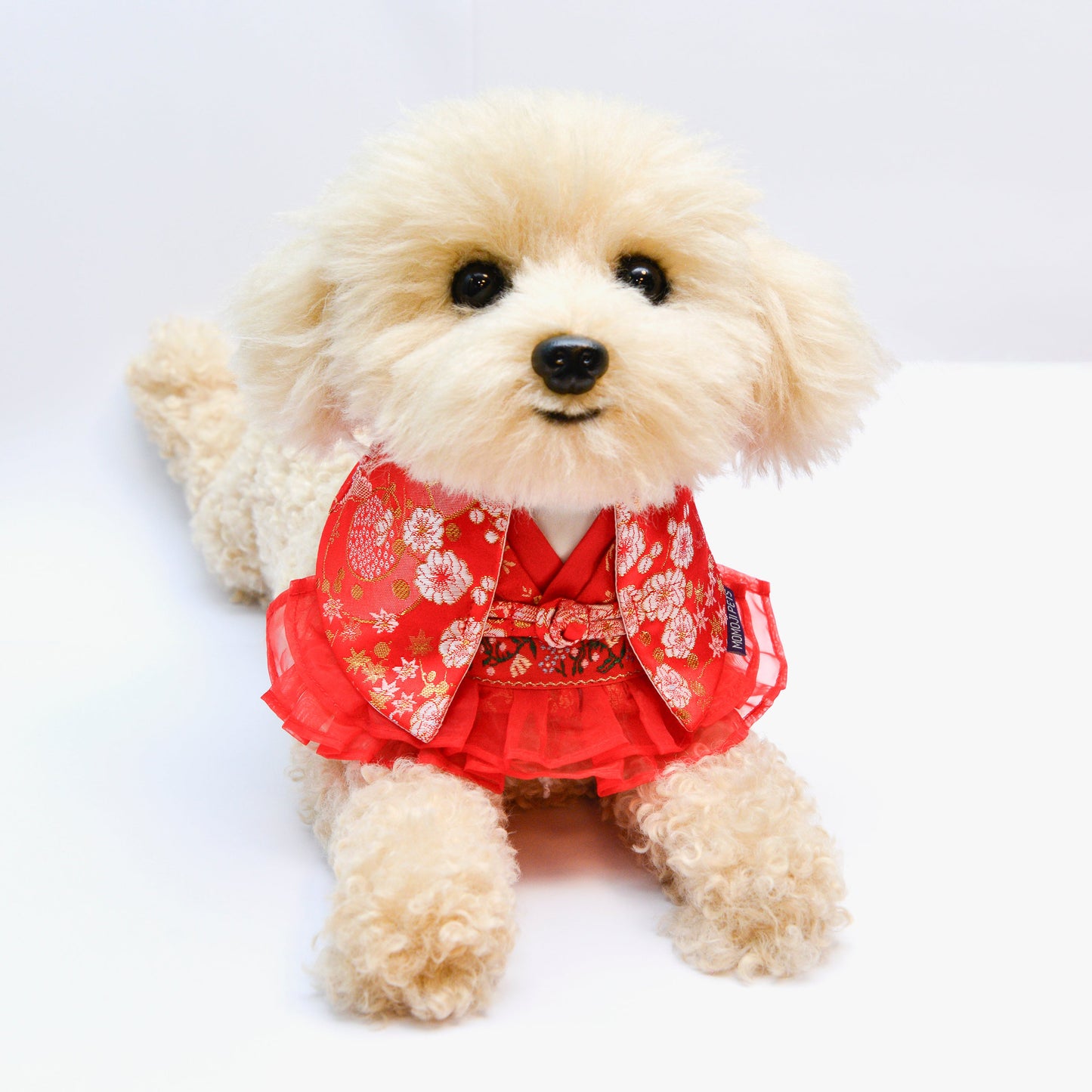 MOMOJI Flourish | Pet Bib