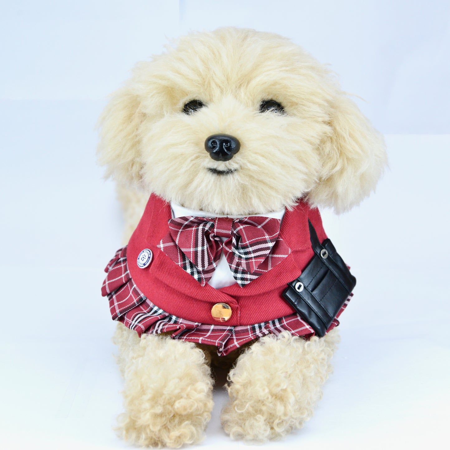 MOMOJI Morrison Hill Girls | Pet Bib