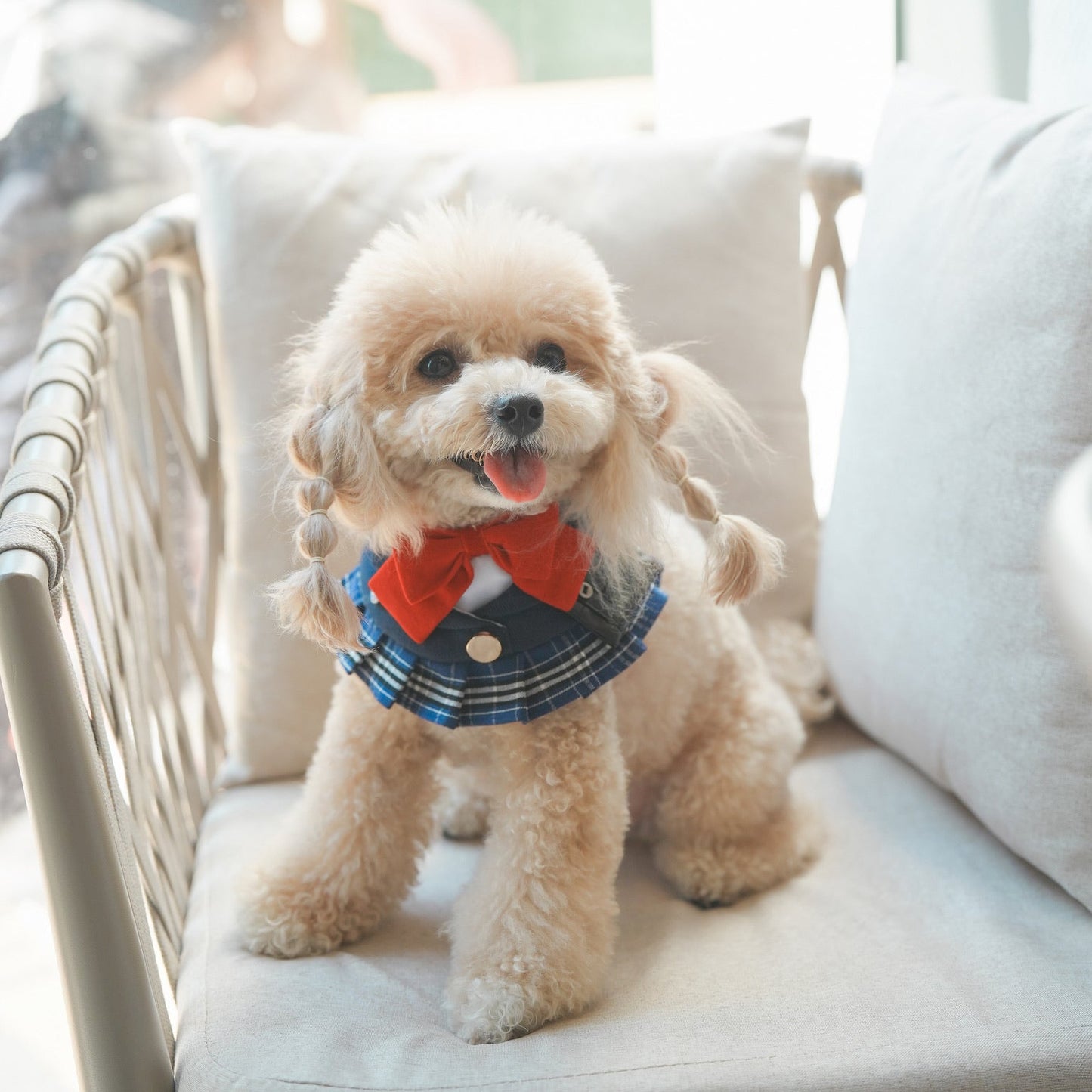 MOMOJI Morrison Hill Girls | Pet Bib