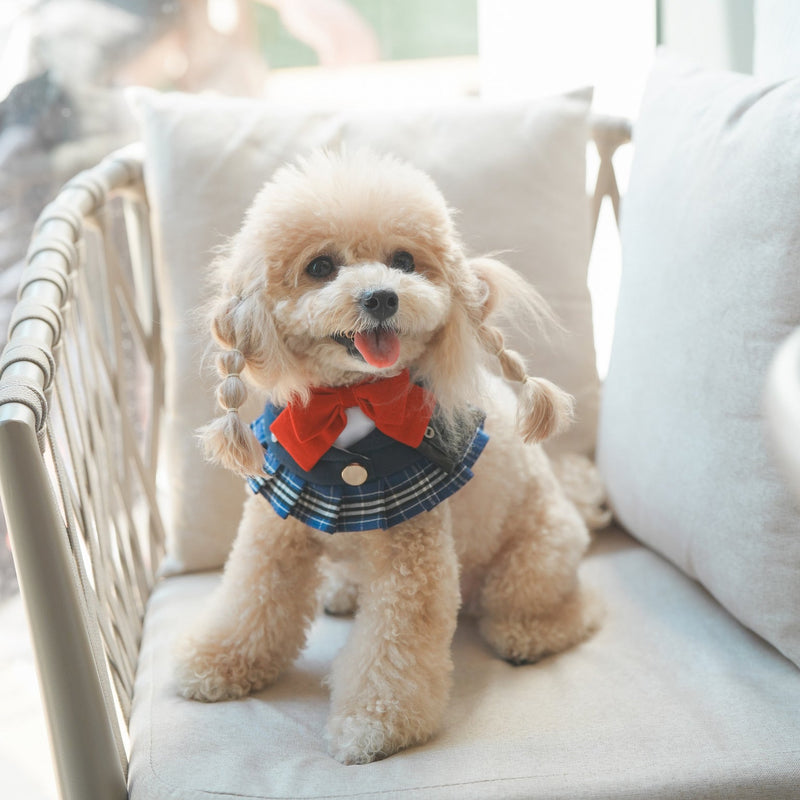 MOMOJI Morrison Hill Girls | Pet Bib