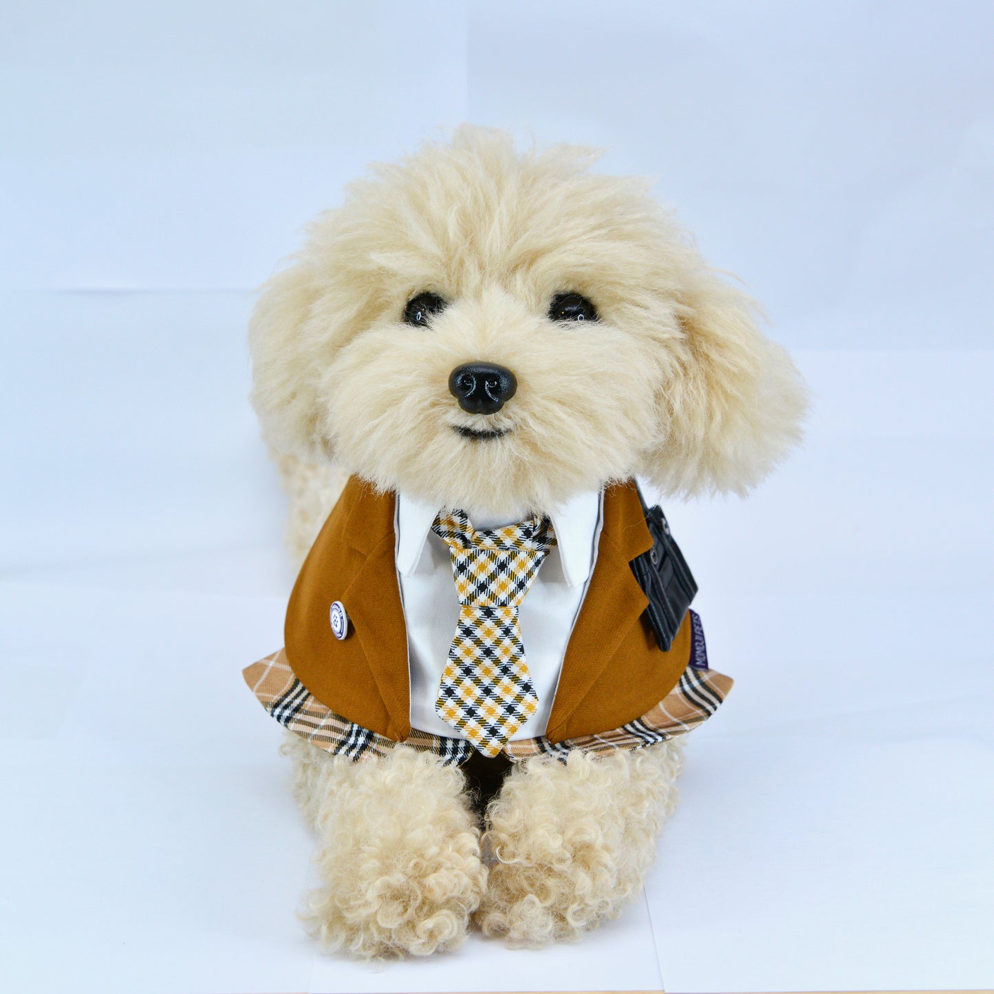 MOMOJI Morrison Hill Boys | Pet Bib