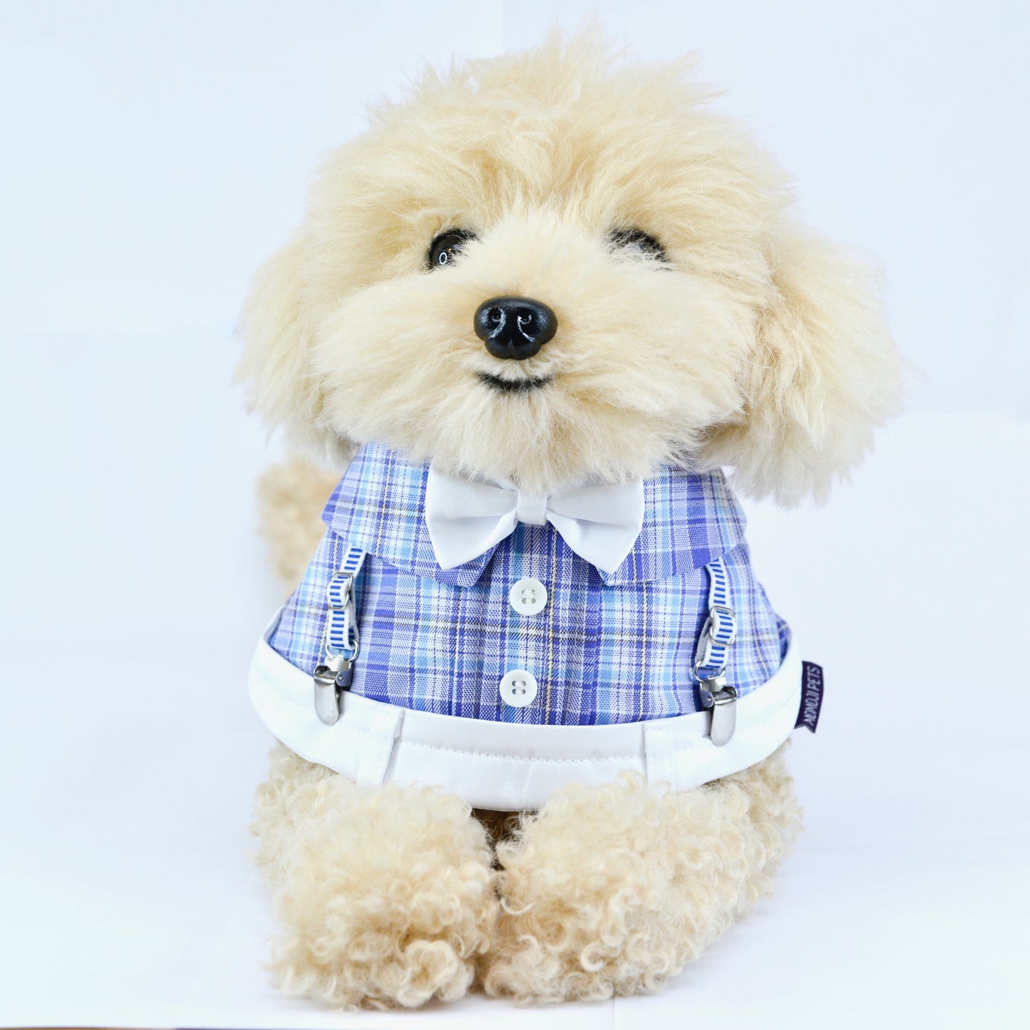 MOMOJI Mallory Boys | Pet Bib