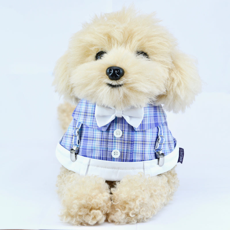 MOMOJI Mallory Boys | Pet Bib