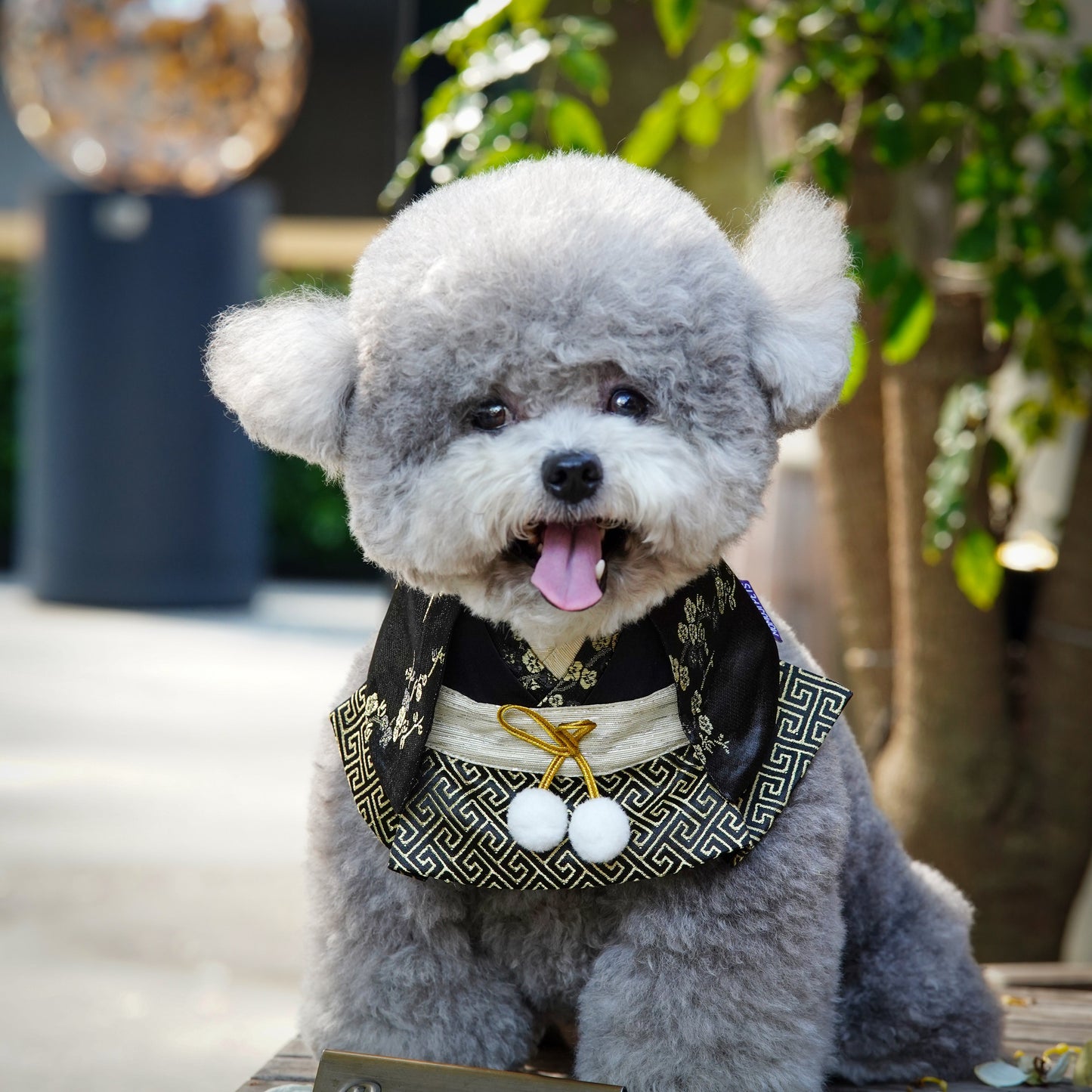 MOMOJI Meguro | Pet Bib
