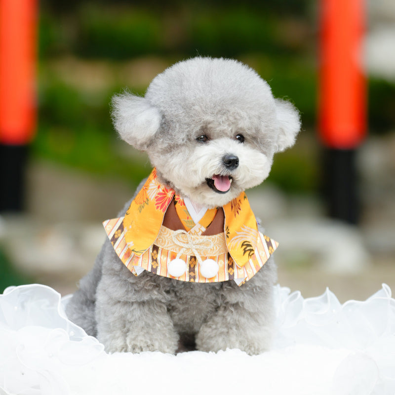 MOMOJI Meguro | Pet Bib