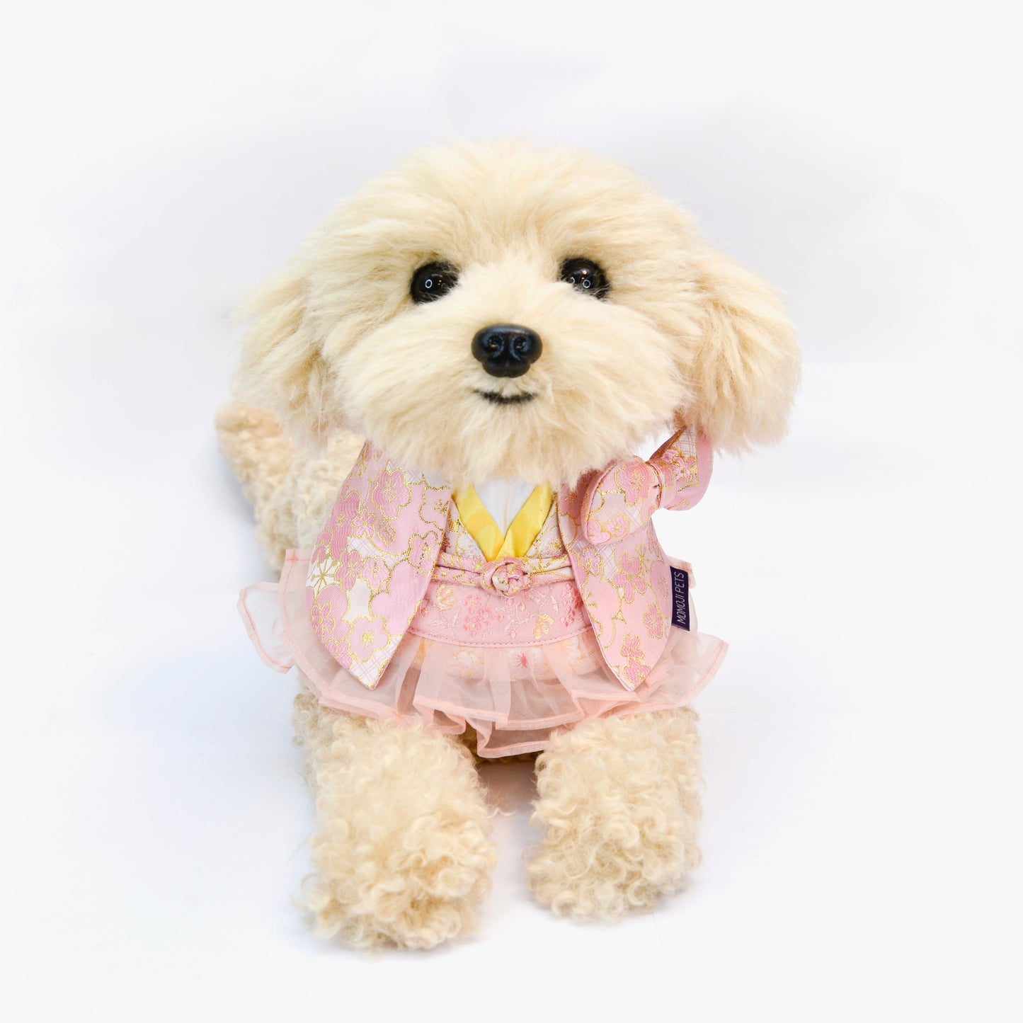 MOMOJI Shine | Pet Bib