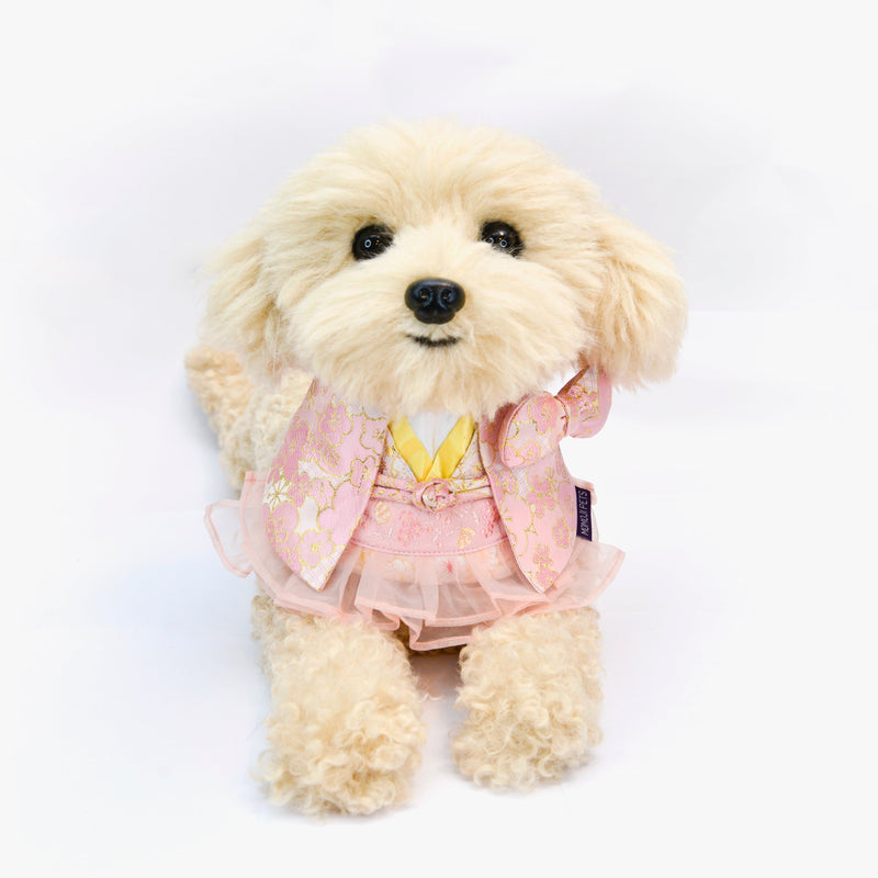 MOMOJI Shine | Pet Bib