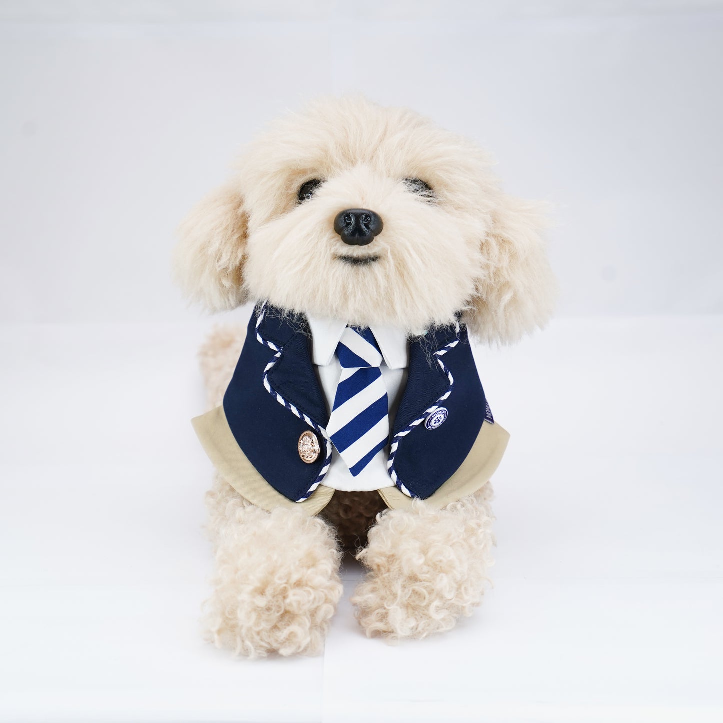 MOMOJI The Hairs Boy | Pet Bib