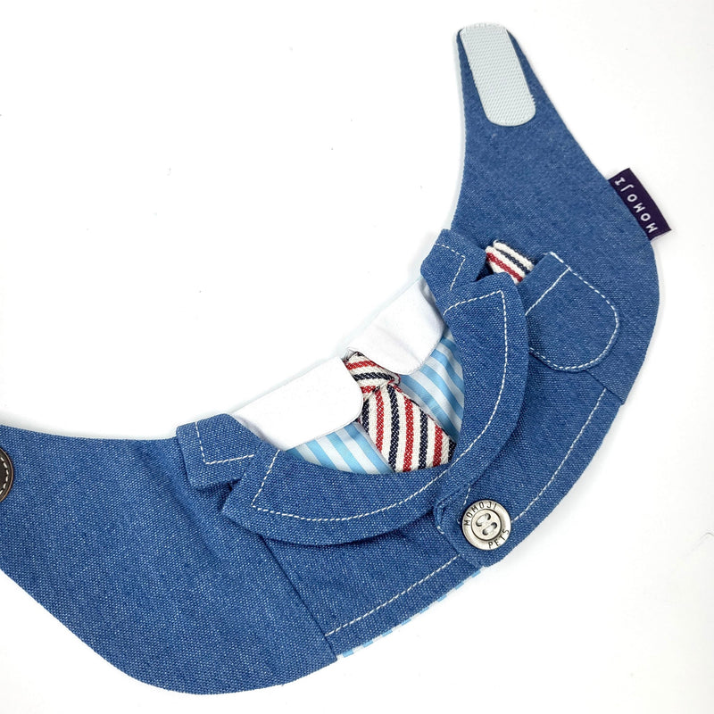 MOMOJI Wellington | Pet Bib