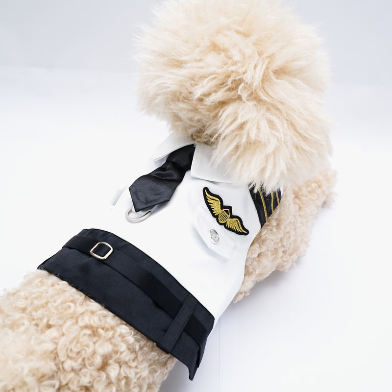 MOMOJI Coolmore I | Pet Vest