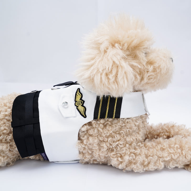 MOMOJI Coolmore I | Pet Vest