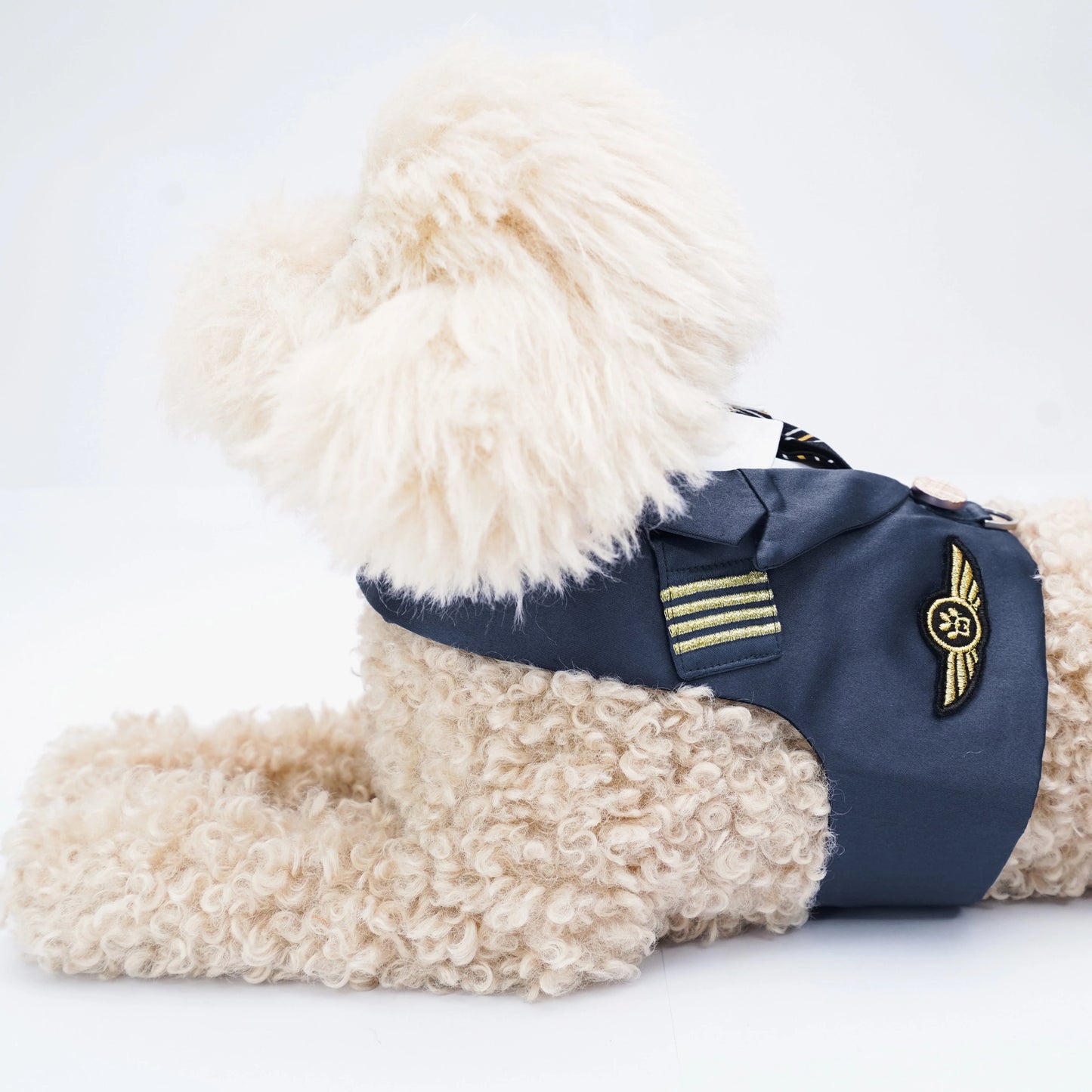 MOMOJI Coolmore II | Pet Vest