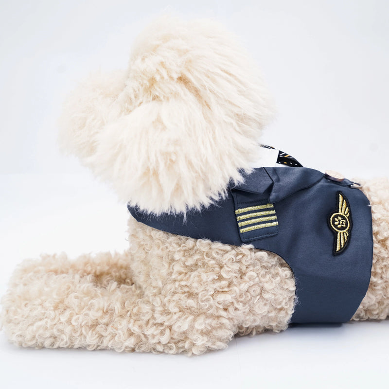 MOMOJI Coolmore II | Pet Vest