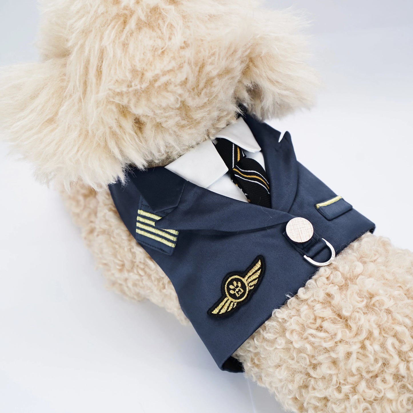 MOMOJI Coolmore II | Pet Vest