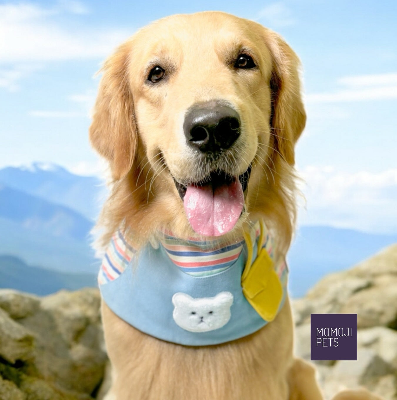 MOMOJI Bear Boys | Pet Bib
