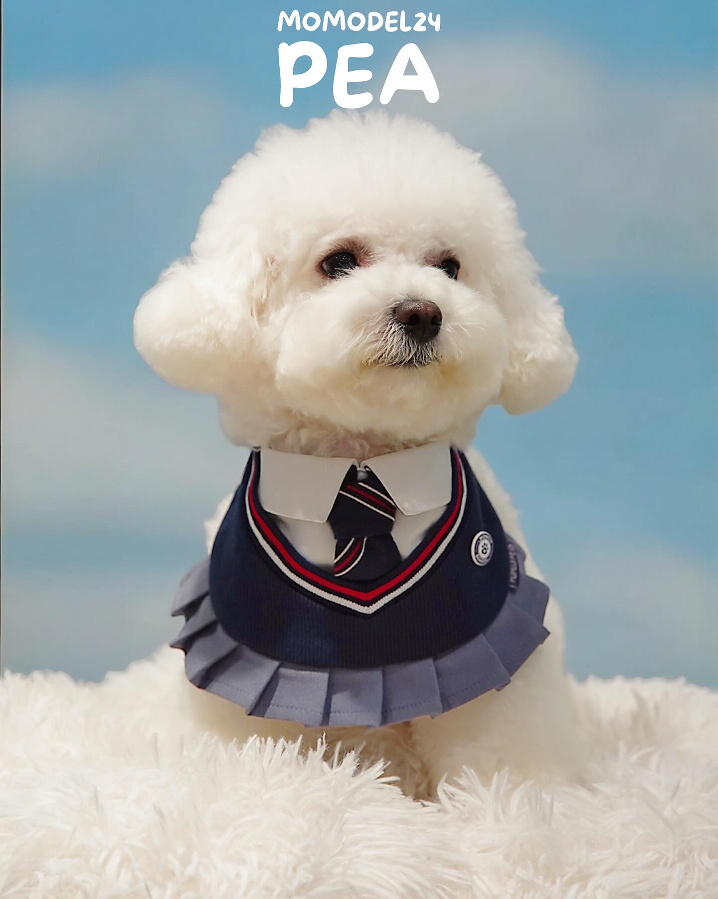 MOMOJI Stephy | Pet Bib