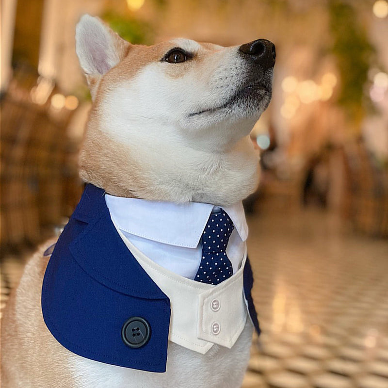 MOMOJI Queensway | Pet Bib