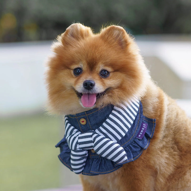 MOMOJI Michelle | Pet Bib