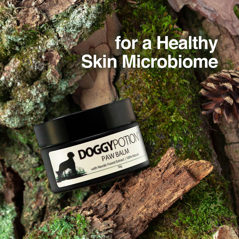 DoggyPotion Paw Balm with Nordic Forest Extract 30g