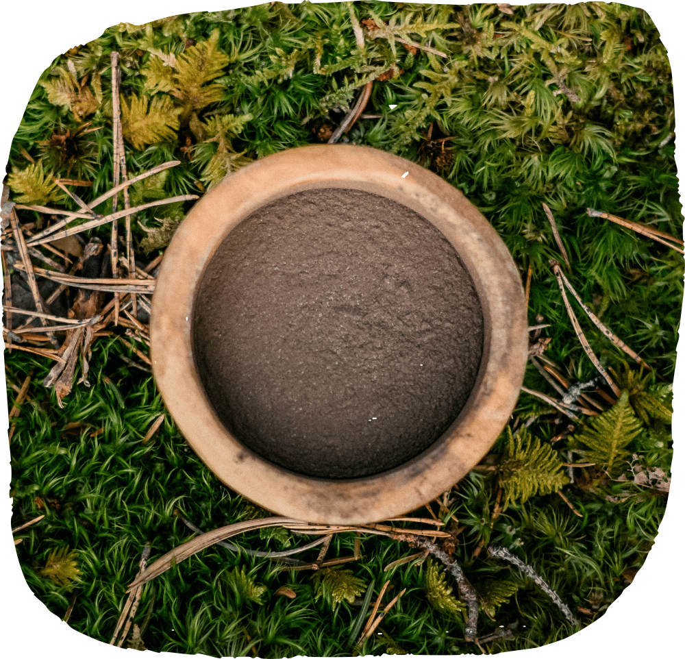 DoggyPotion Paw Balm with Nordic Forest Extract 30g