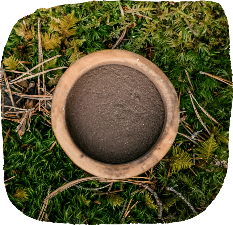DoggyPotion Paw Balm with Nordic Forest Extract 30g