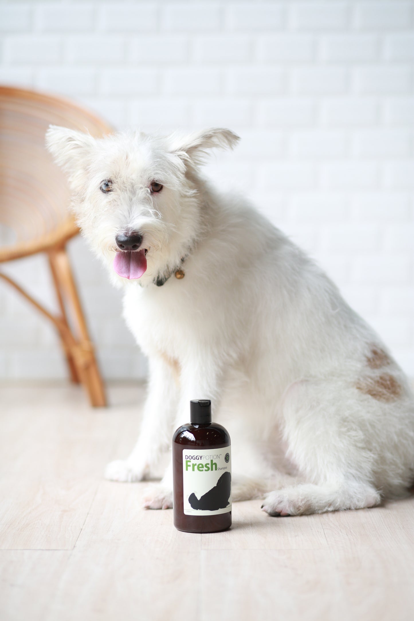 DoggyPotion FRESH Shampoo with Oatmeal 500ml