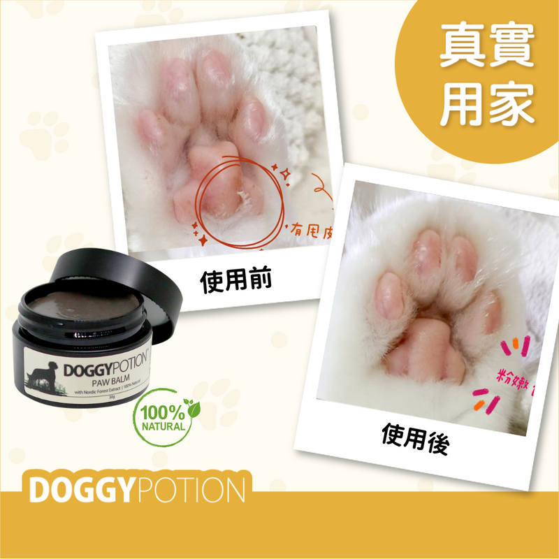 DoggyPotion Paw Balm with Nordic Forest Extract 30g