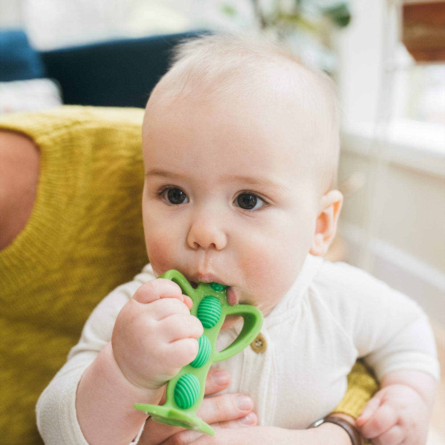 Dr. Brown's Silicone Teether + Training Toothbrush
