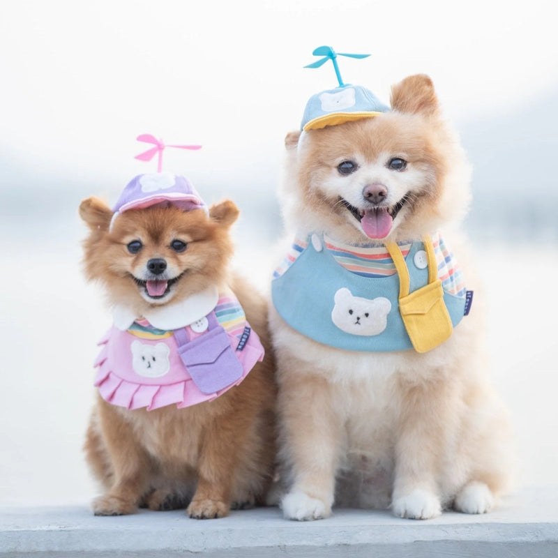 MOMOJI Bear Boys | Pet Bib