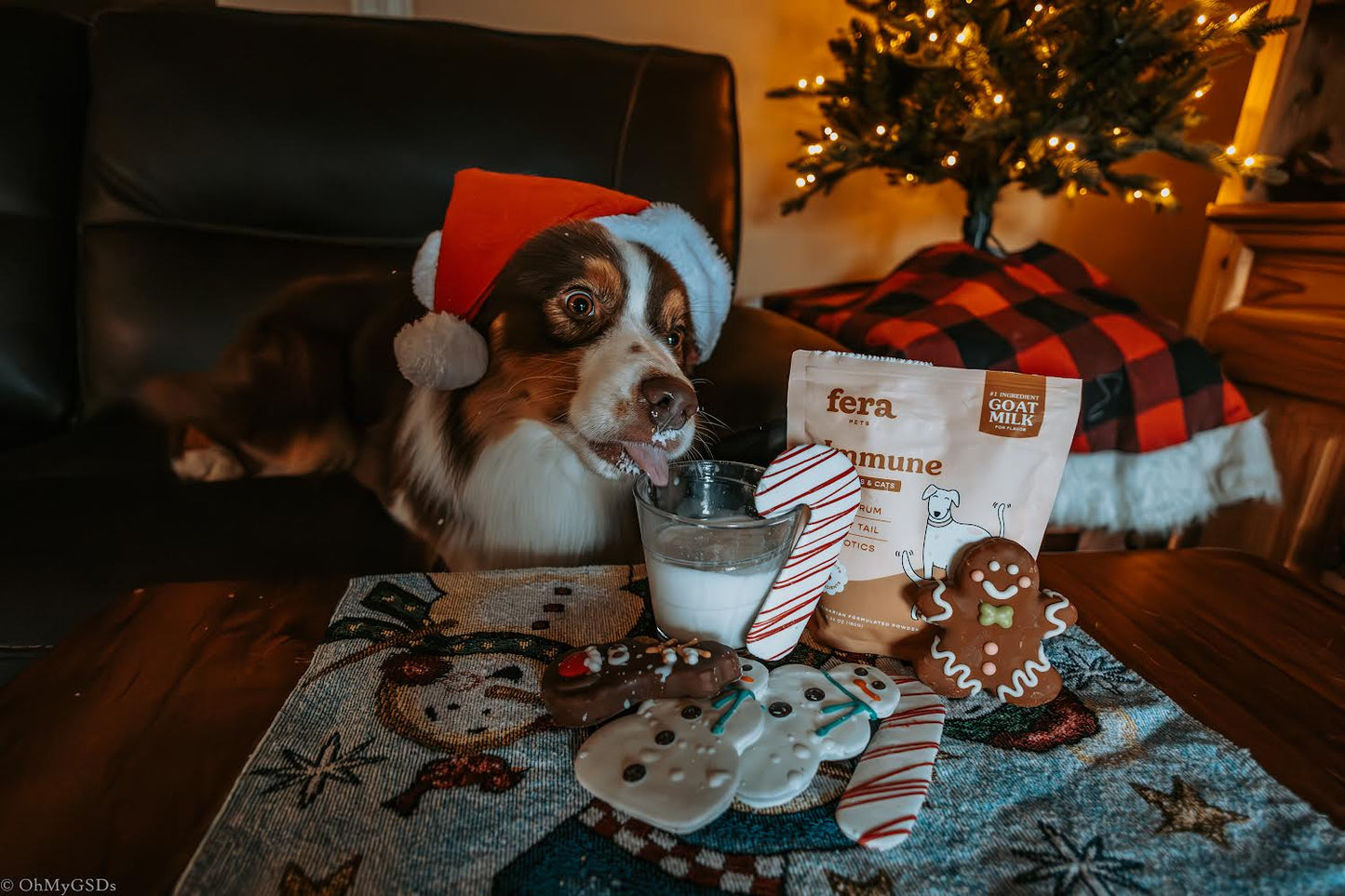 Fera Pets 拌糧羊奶營養粉 - 免疫提升配方 180g