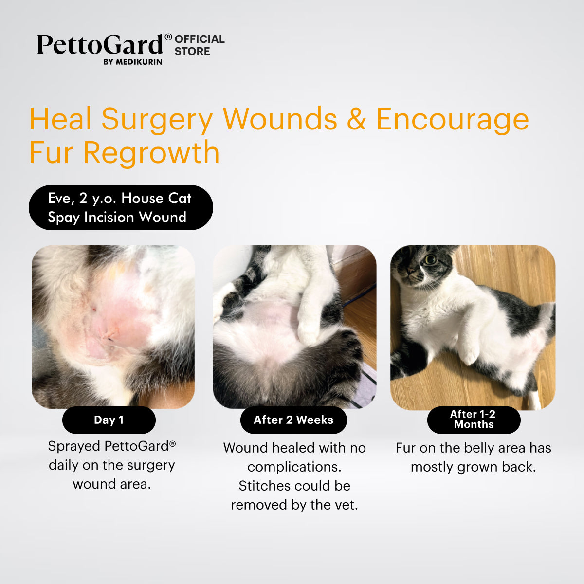 PettoGard Antimicrobial Skin Care & Wound Spray for Cats 100ml