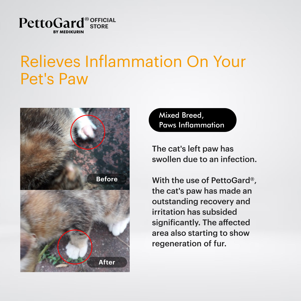 PettoGard Antimicrobial Skin Care & Wound Spray for Cats 100ml