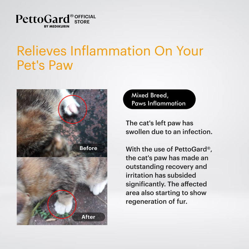 PettoGard Antimicrobial Skin Care & Wound Spray for Cats 100ml