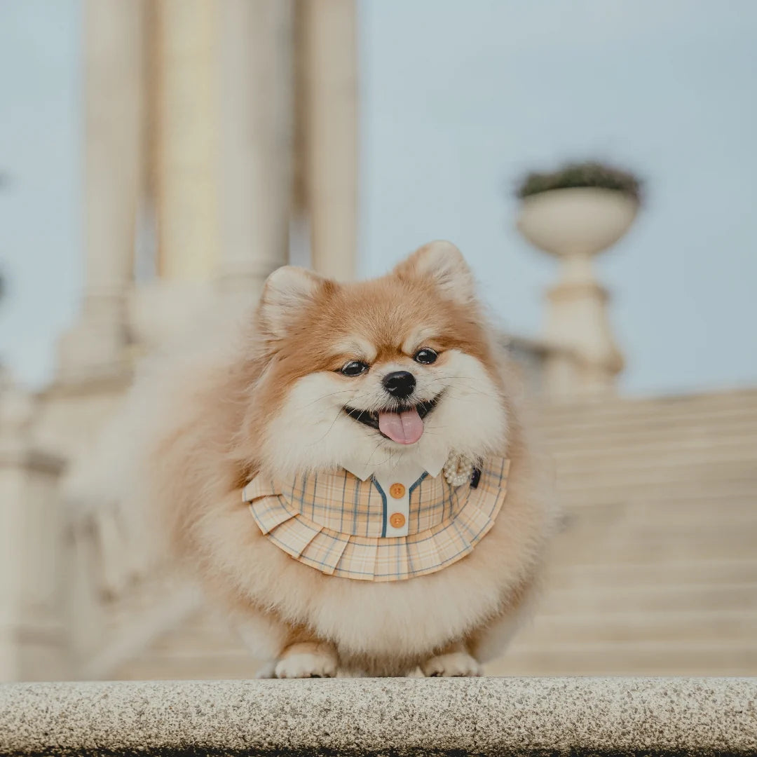 MOMOJI Gill | Pet Bib