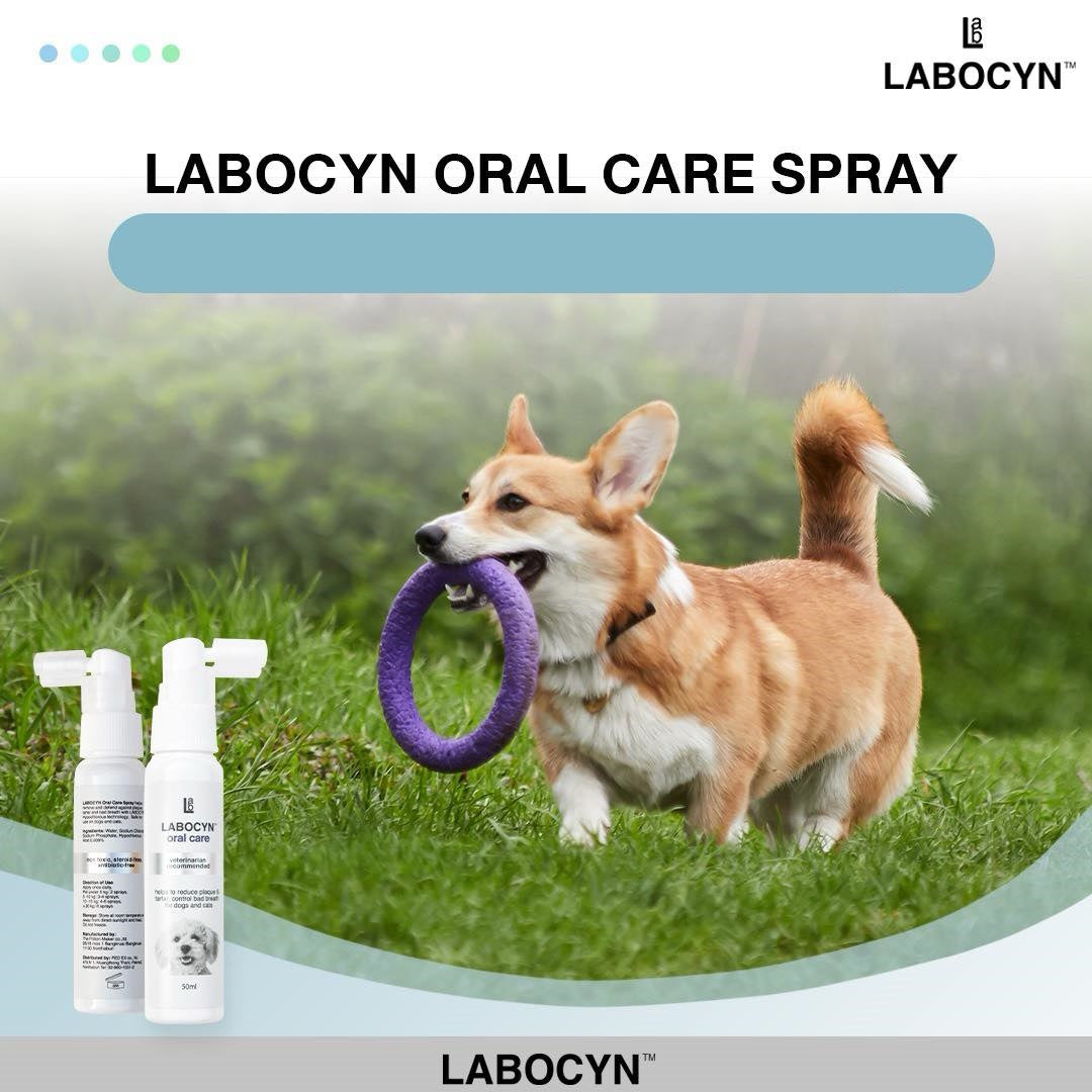 LABOCYN 除牙石潔齒噴劑