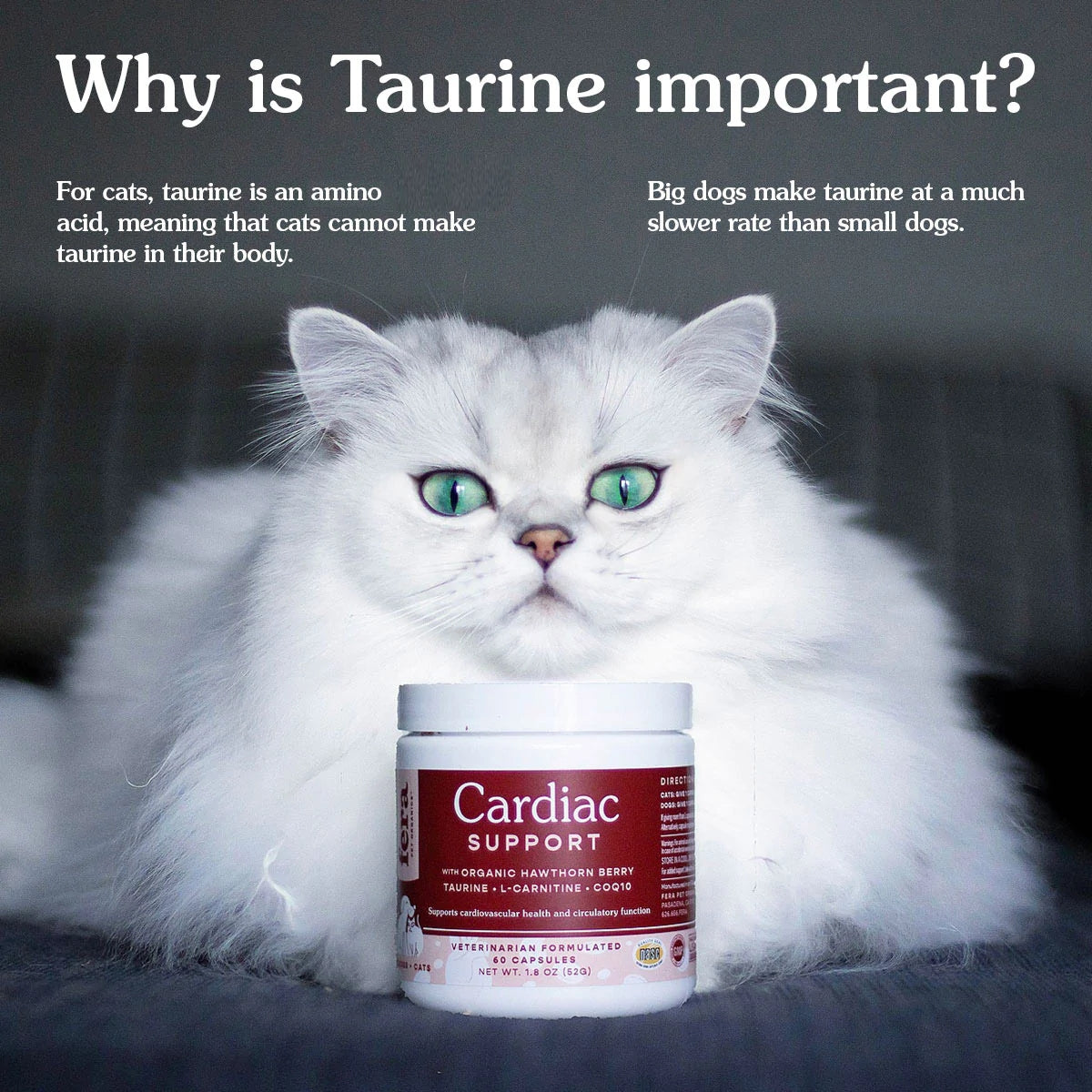 Fera Pets Cardiac Support Capsule 60s