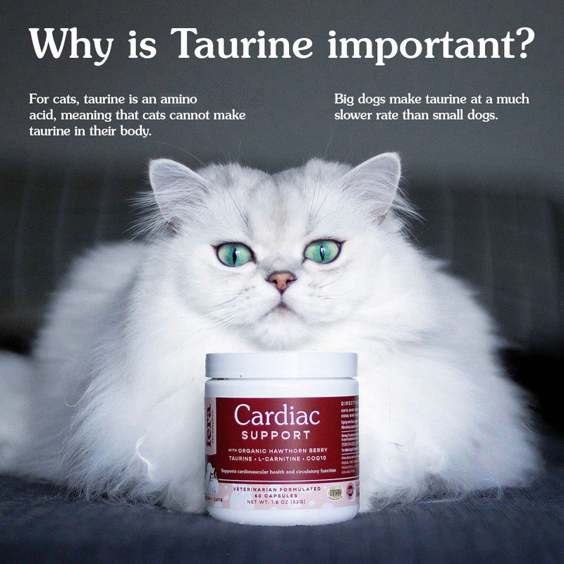 Fera Pets Cardiac Support Capsule 60s