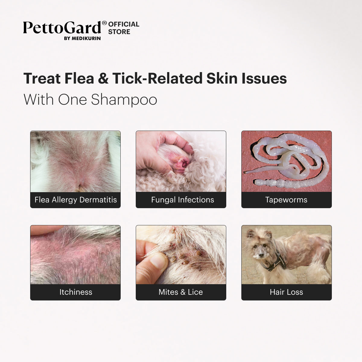 PettoGard Flea & Tick Foam Shampoo with Neem Oil Extracts 500ml