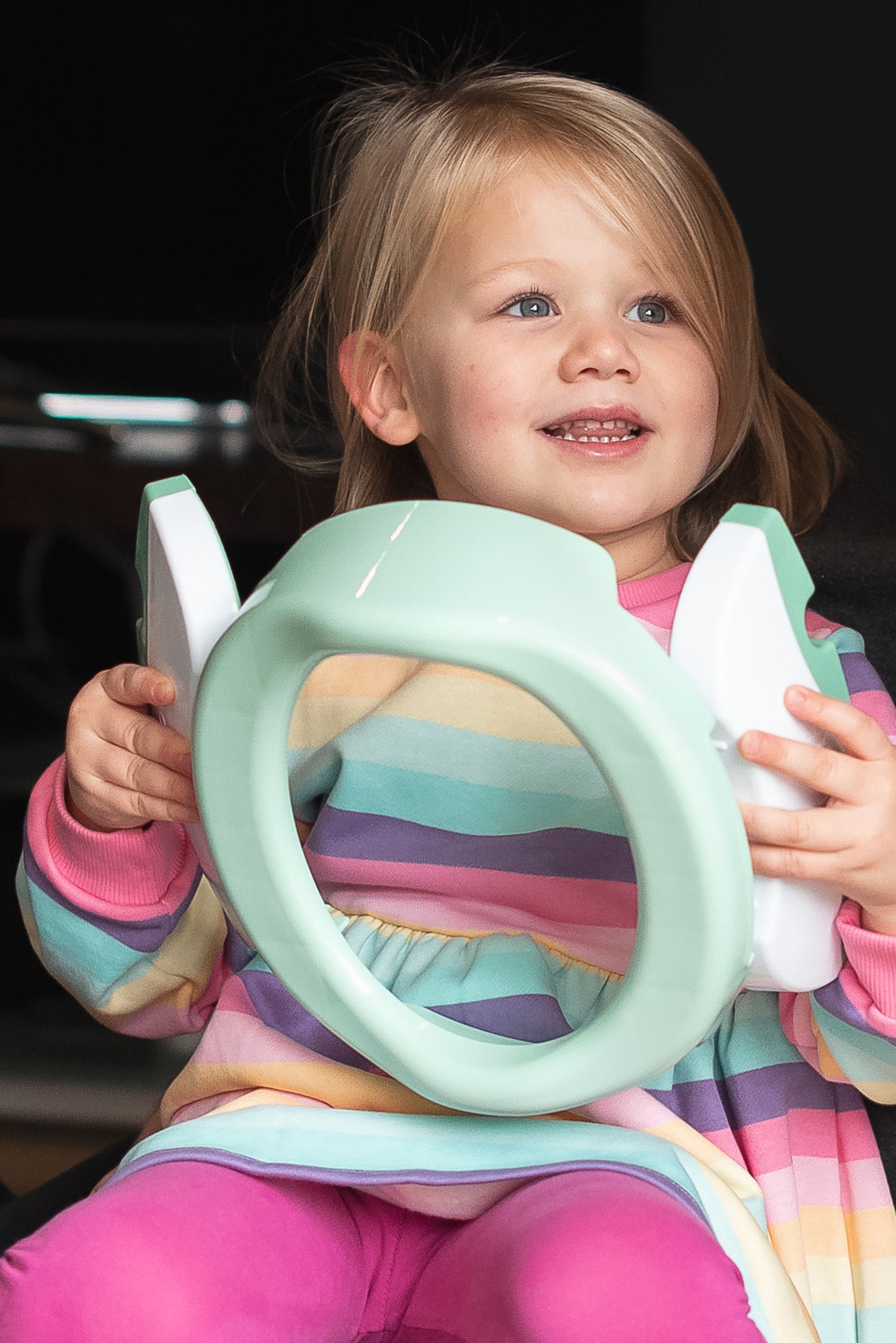 Potette Plus 2-in-1 Foldable Potty