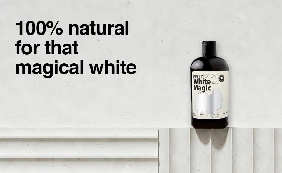 DoggyPotion WHITE MAGIC Shampoo with Oatmeal 500ml