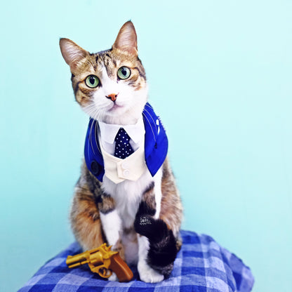 MOMOJI Queensway | Pet Bib