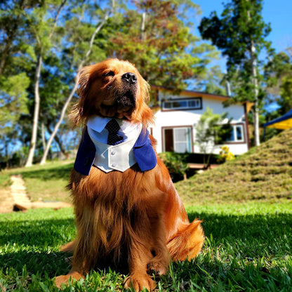 MOMOJI Queensway | Pet Bib
